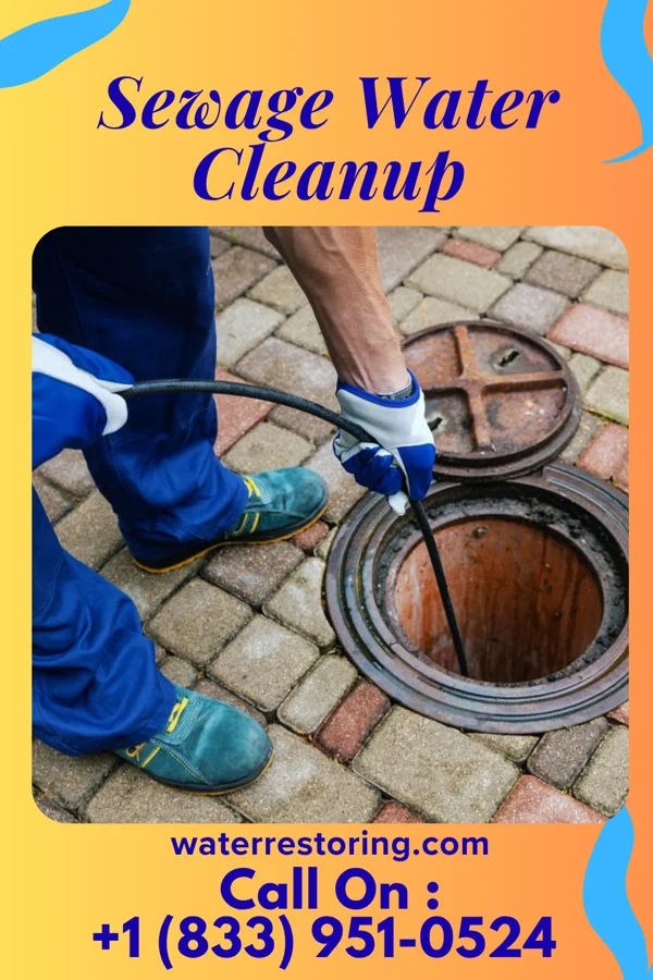 Sewage Water Cleanup in Bethel, NC