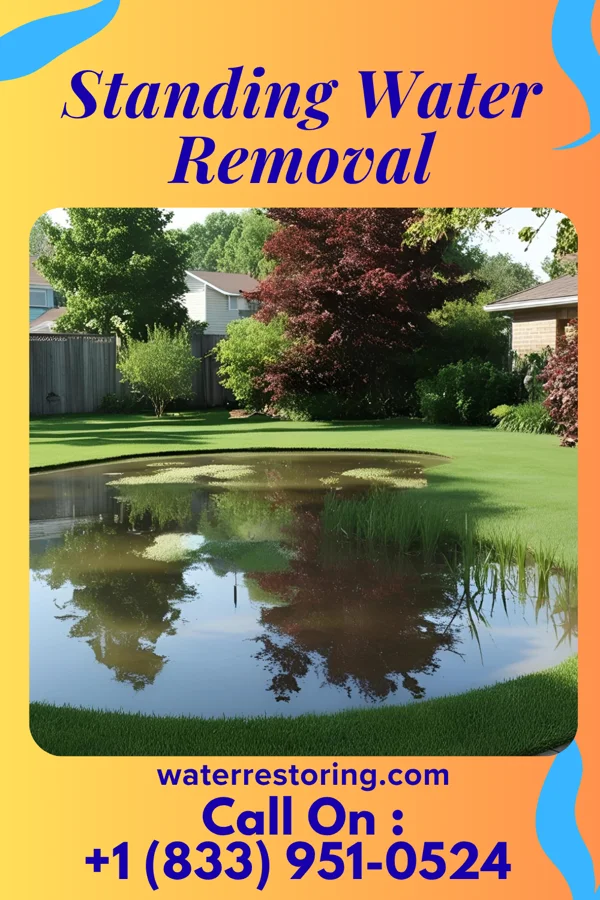 Standing Water Removal in Bethel, NC